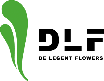 Logo de Legent Flowers